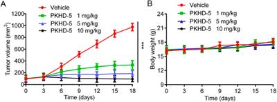 Discovery of novel and highly potent dual-targeting PKMYT1/HDAC2 inhibitors for hepatocellular carcinoma through structure-based virtual screening and biological evaluation